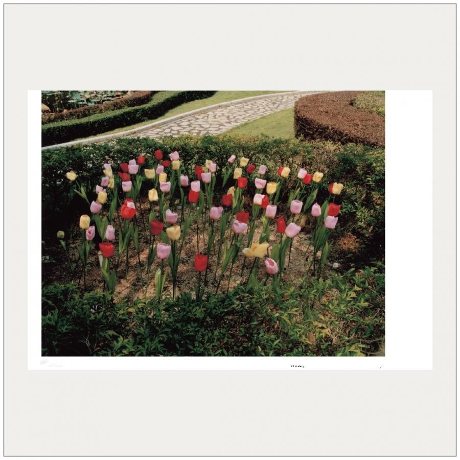 ART POSTER Fish Zhang｜フィッシュ・チャン 断ち落としあり