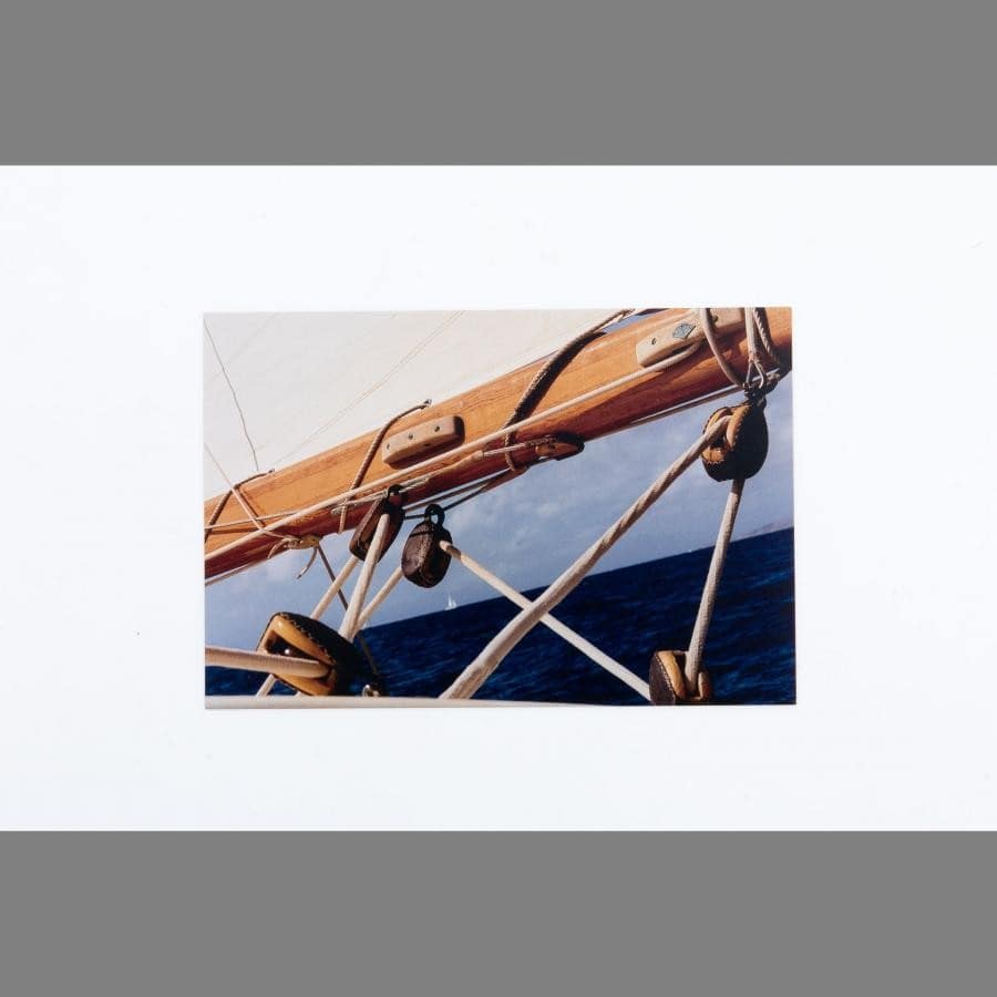 Coco Capitan Exhibition「NAIVY」 Postcard D