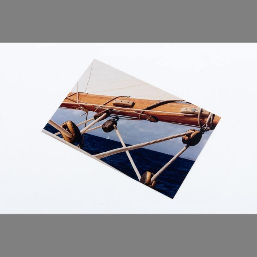 Coco Capitan Exhibition「NAIVY」 Postcard D