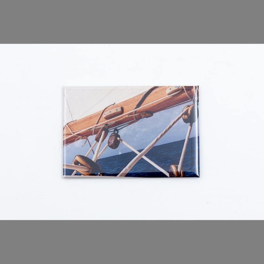 Coco Capitan Exhibition「NAIVY」 Magnet D